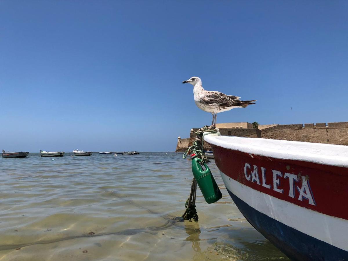 Planeta Cadiz Apartaments ภายนอก รูปภาพ